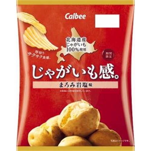 Calbee Potato Flavor. Mellow Rock Salt Flavor 60g  [Purchase Quantity 12]