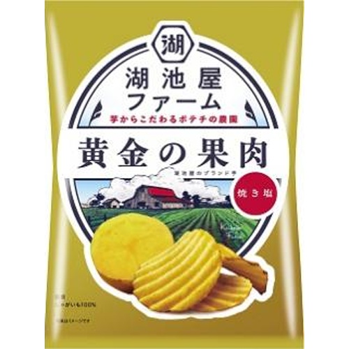 Koikeya Farm Golden Flesh Baked Salt [New Product Released on 4/7]  [Purchase Quantity: 12 Packs]
