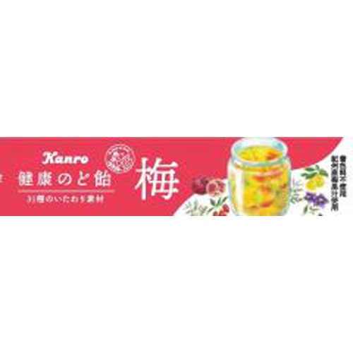 Kanro Health Throat Candy Plum 11 Pieces  【Purchase Quantity 10 Packs】