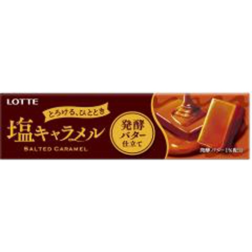 Lotte Salt Caramel with Fermented Butter 10 Pieces  [Purchase Quantity: 10]