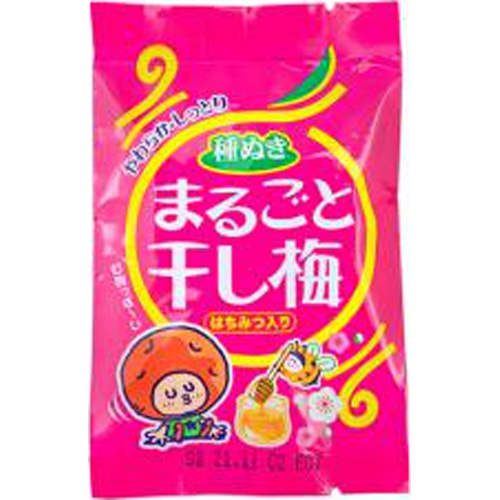 Yaokin Whole Dried Plum 9g Special Order Item 【Purchase Quantity 480 pieces】 (Delivery may take time)