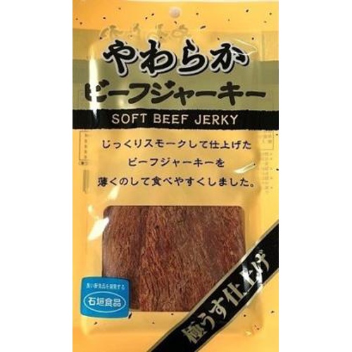 Ishigaki Soft Beef Jerky 30g Special Order Item 【Purchase Quantity 40 Pieces】