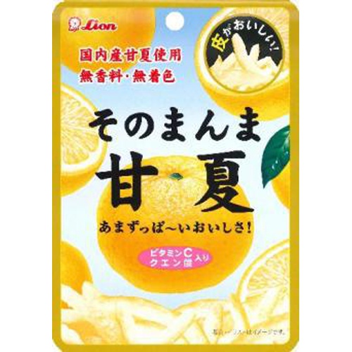 Lion Whole Sweet Summer Orange 25g Special Order Item 【Purchase Quantity 72 Units]
