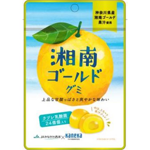 Kaneka Shonan Gold Gummies with Lactic Acid Bacteria 40g 【Purchase Quantity: 10 Pieces】