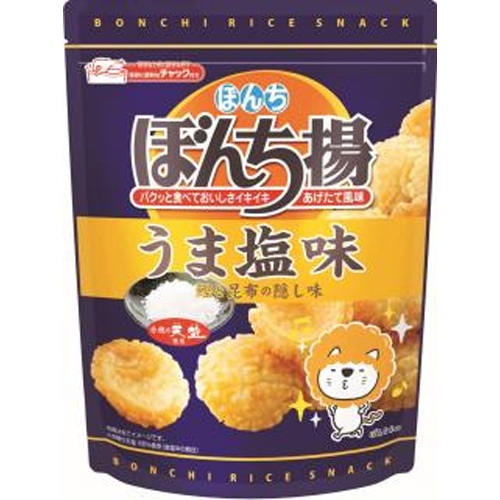 Bonti Bonti Fried Rice Crackers Umami Salt Flavor with Zipper 85g - Special Order Item [Purchase Quantity: 12]