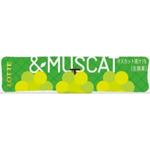 Lotte Specialty Fruit & Muscat 9 Pieces Special Order Item [Purchase Quantity 300]