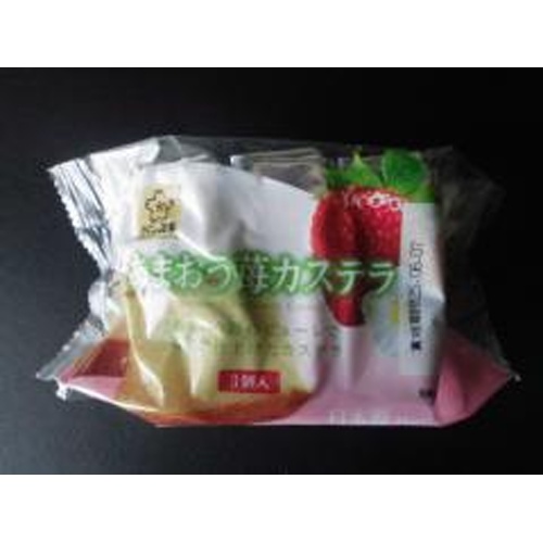 Ash Food Entertainment Amaou Strawberry Castella 3 Pieces  [Purchase Quantity 12 Pieces]