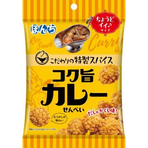 Bonti Rich Flavor Curry Senbei 55g  【Purchase Quantity 10 Pieces】