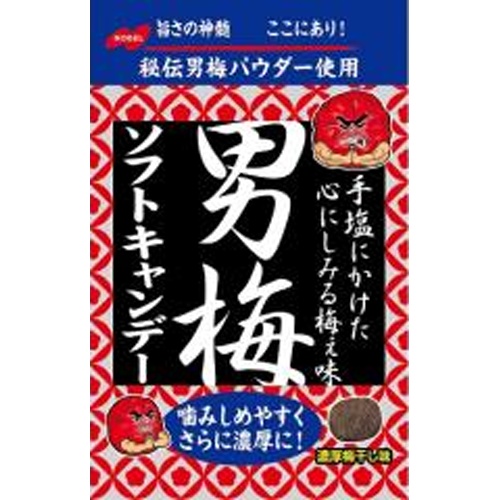 NOUBEL Plums Soft Candy 35g  [Pack of 72]