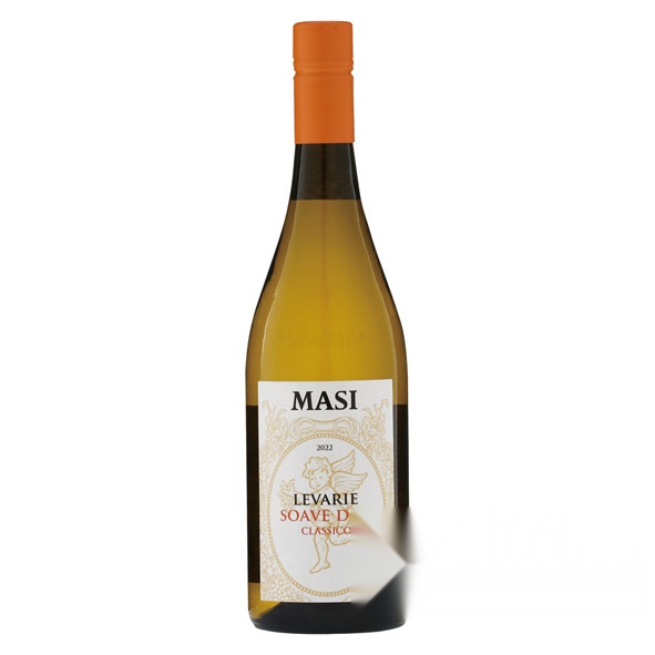 Maaji Revalier Soave
