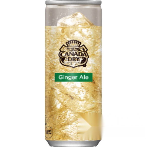 Canada Dry Ginger Ale Cans 250ml (Pack of 30)