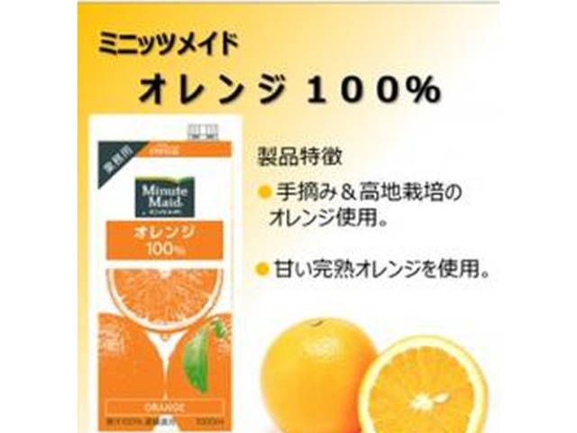 Minute Maid Orange Paper, 1L (Special Order Item) [Purchase 6]