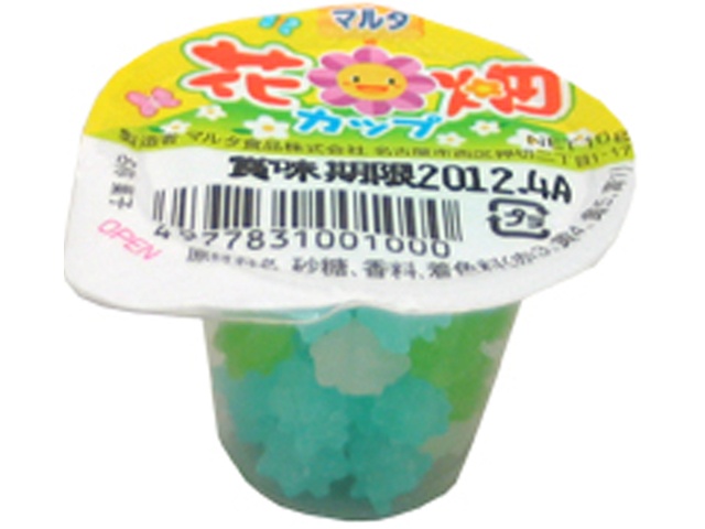 Malta Flower Garden Cup 10g (Pack of 40)