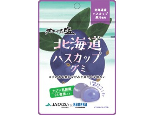 Kaneka Hokkaido Haskap Gummy Candy with Lovere Lactic Acid Bacteria, 40g (Purchase of 10)