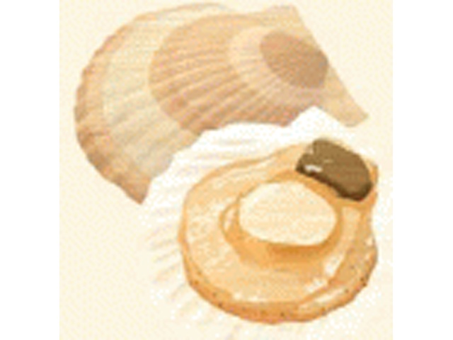 Greens Kitami Hokkaido Scallop Soup, 4 packets (5 packs per pack)