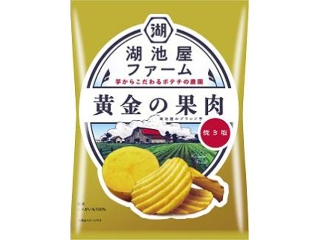 Koikeya Farm Golden Fruit Roasted Salt (Special Order Item) [Purchase 12]