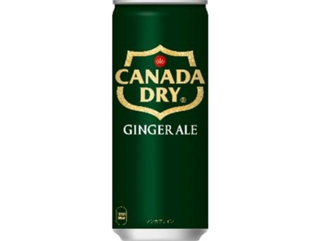 Canada Dry Ginger Ale 250ml Can [This Month's Special Drink]  [Purchase 30]