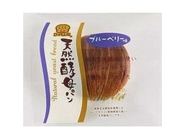 Day Plus Natural Yeast Bread, Blueberry Flavor (Purchase 12)